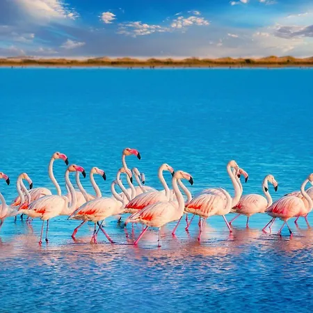 Spacious Dasoudi 3br Διαμέρισμα Λεμεσός